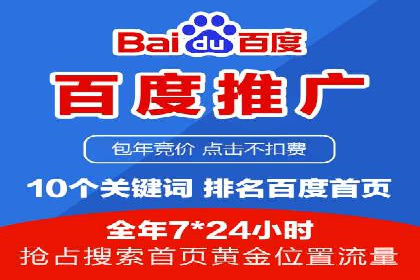 网络推广与竞价策略实战案例